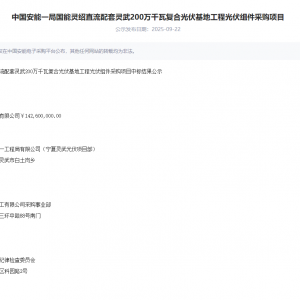 0.713元/W 环晟光伏中标中国安能200MW组件