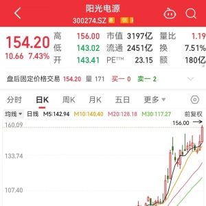 300274，突破3000亿元！新能源赛道龙头股狂飙，这些绩优低估值股受机构青睐 ...