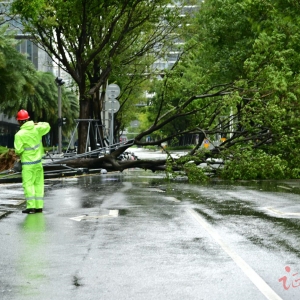 组图丨实探台风“桦加沙”影响下的深圳