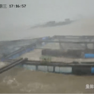 台风“桦加沙”，登陆！