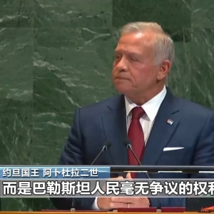 多国在联大就巴以问题谴责美以 呼吁落实“两国方案”