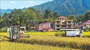 “像点外卖一样下单农事服务”（秋收进行时）