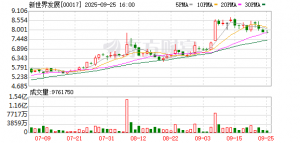 新世界发展25天敲定59亿融资：德意志银行牵头，维港文化汇作抵押 ...