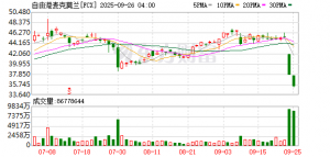 全球第二大铜矿因事故停产 铜精矿紧缺“雪上加霜”