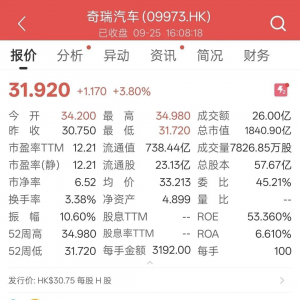 年内港股五起IPO超百亿 规模最大车企上市 再搅动投行江湖