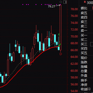 300904，直线20%涨停！A股这一赛道，突然异动！