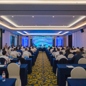 高端会诊、精准赋能，智库专家评赞孝南营商环境创新案例