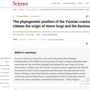 “郧县人”头骨重绘人类谱系  最新研究刷新人类演化时间线