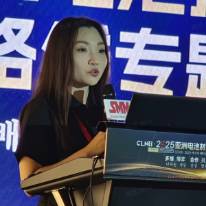 SMM：全球三元市场供需与展望 2027或将为三元材料市场需求关键转折点？ ...