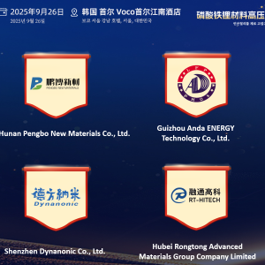 2025 SMM 磷酸铁锂材料Tier1榜单发布！【亚洲电池材料合作沙龙】 ...