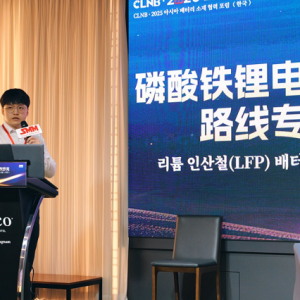 SMM：2025-2030年全球磷酸铁锂市场格局与变化【亚洲电池材料合作沙龙】 ...