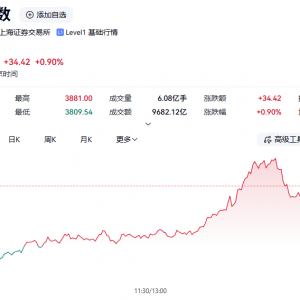 “牛市旗手”，午后大爆发！