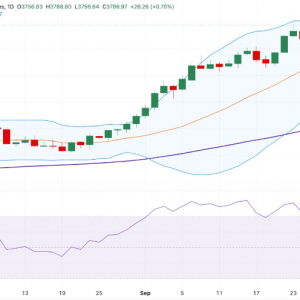 随着美国政府关闭风险愈演愈烈，黄金飙升至创纪录的3800美元上方多头占优 ...