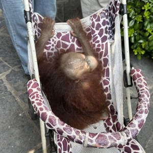 “请3休12”超长假期来临，第一批拼假游客已抵达