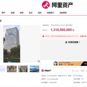 地产经纬丨阳光城上海总部大楼13.1亿元“五拍成交”，核心区“性价比”资产仍具吸引力 ...