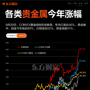 黄金再创历史新高 年内已暴涨46% 仍不敌这两种贵金属