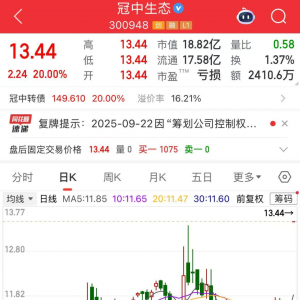 重大收购，300948一字涨停！超导新材料问世，融资客大手笔加仓8只概念股 ...