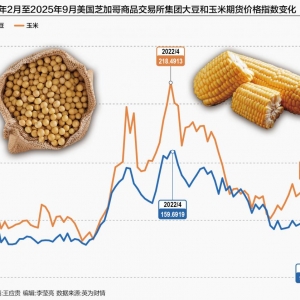 美国大豆玉米出口与价格“双杀” 农业会否影响明年中期选举？ ...