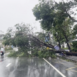 台风“博罗依”登陆越南后已造成19人死亡、21人失踪
