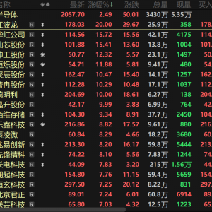 续刷新高！半导体板块持续爆发 江波龙、德明利涨停 股价双刷历史记录！【热股】 ...