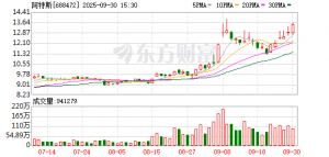 阿特斯子公司签署电池储能系统供应协议和长期服务协议