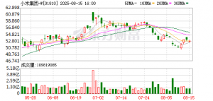 小米卢伟冰：小米17系列销量确实已超过100万台