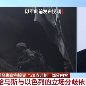 哈马斯只部分接受美“20点计划” 特朗普为何积极回复？