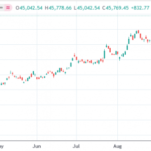 高市早苗当选自民党总裁 日本股债汇后续如何走？