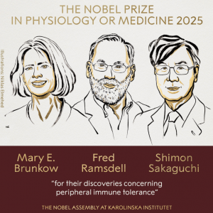 刚刚，诺贝尔奖揭晓！