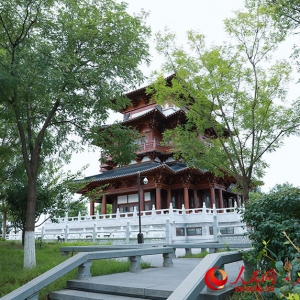 我在雄安建公园