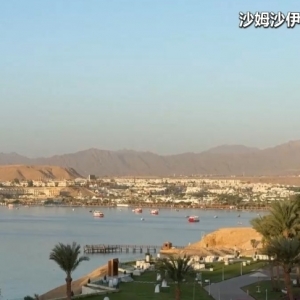 “首阶段协议已签署” 特朗普拟周末赴中东 加沙停火谈判迎来重大进展→ ...