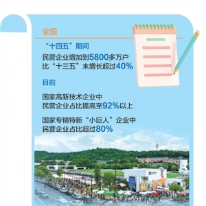 从一座小镇看民营经济高质量发展（大数据观察·点读“十四五”） ...