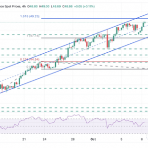 白银价格预测：白银反弹至49美元新高，小心这一阻力位引发回调 ...