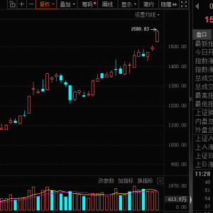 603300，近300万手封死跌停！量子概念大涨，机构关注这些概念股 ...