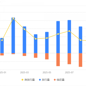 前三季度地方借钱约8.5万亿元，花哪儿了？