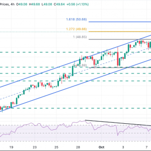 白银价格预测：白银一度拉升至51美元上方，投资者获利了结银价自历史高位回落近4% ...