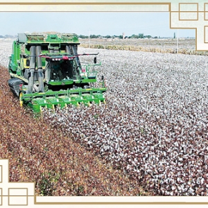 天山南北，写下“浓墨重彩的一笔”