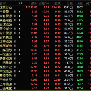迎峰度冬将启动 下游补库需求有所增加 煤炭股逆势走强 大有能源涨停【SMM快讯】 ...
