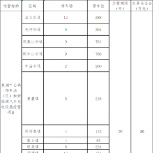 20年2.98亿元！安徽巢湖公共停车场充电运营招标！
