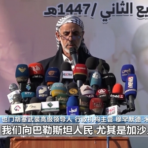 胡塞武装举行大规模集会庆祝加沙停火