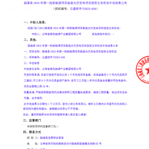 云南勐翁光伏项目投资主体优选中选结果公布