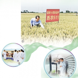 这个西北小城何以走出28位院士（科技视点）