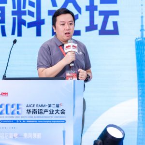 以“科学性 应用性 权威性”重构中国铝产业全球绿色低碳竞争新格局【华南铝大会】 ...