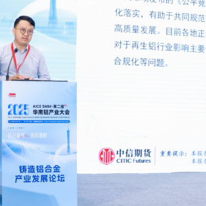 中信期货：新旧模式交替背景下 铸造铝合金市场分析及期货应用【华南铝产业大会】 ...