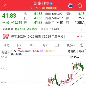 600745开盘跌停！多重利好催化，这一领域受益，融资客大幅加仓名单出炉 ...