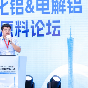 金控期货：人民币国际化背景下铝跨市套利的新机遇与汇率风险管控【华南铝产业大会】 ...