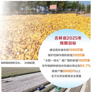 实探吉林商品粮基地： 黑土粮仓 秋收正酣