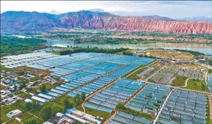 “搞成了半拉子工程”，困局怎样扭转（干部状态新观察·走进一线探作风） ...