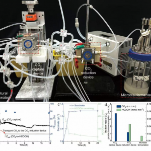 科学家实现海水中二氧化碳变生物塑料