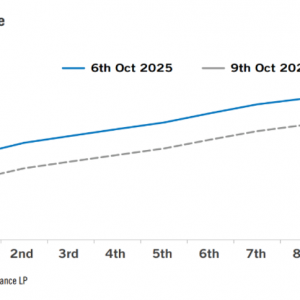 贵金属触及纪录高位，但贺利氏分析师表示，黄金白银“严重超买” ...